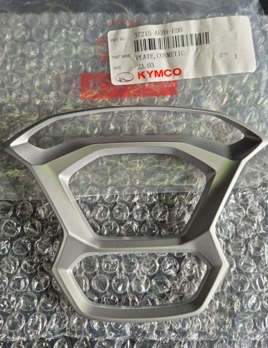 Cornice strumentazione kymco - strumentazione,