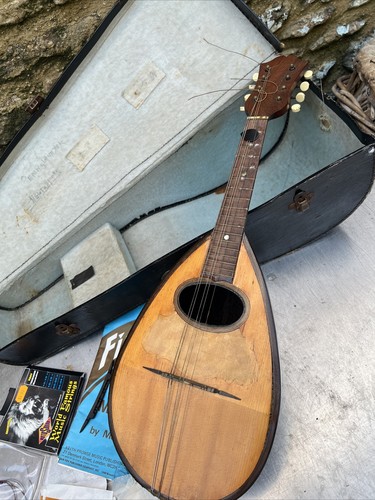 Antico mandolino con fondello