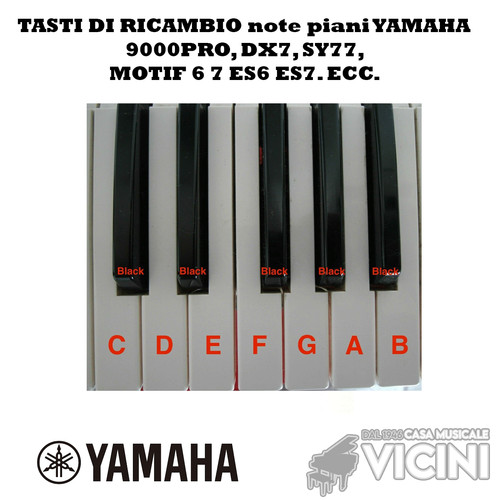 Tasti ricambio note piani - tasti,