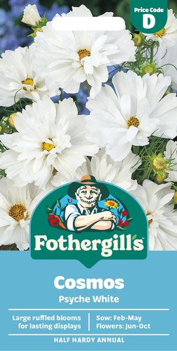 Semi fiori bianchi - fiori,