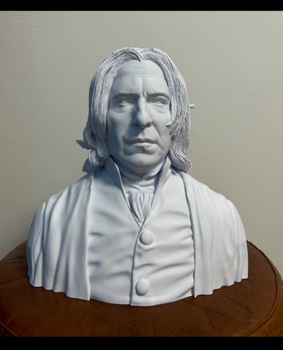 Busto harry potter piton - busto,