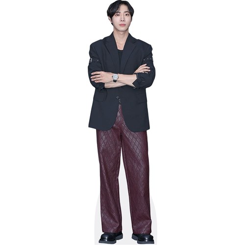 Choo young woo mini - young,