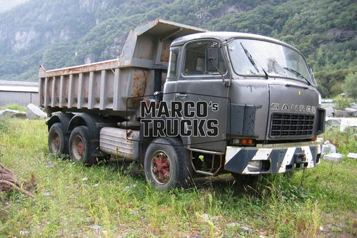 Foto camion saurer ribaltabile - foto,
