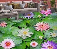 3D colore Lotus C2501