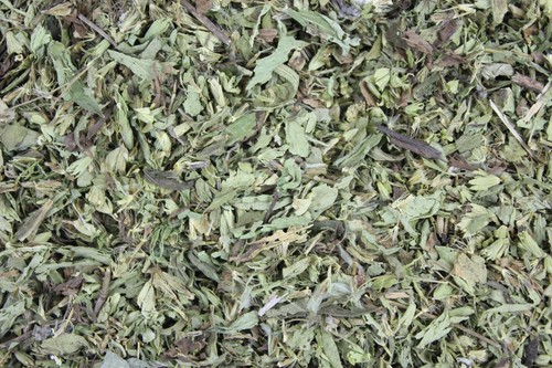 1000erbe stevia foglie - 1000erbe,
