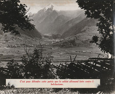 Stampa Foto Analogica