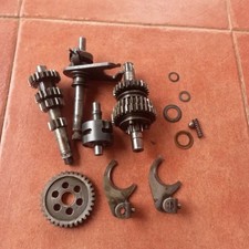 Ottimo Cambio MINARELLI Rv4