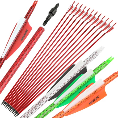 Frecce carbonio sp500 - in,