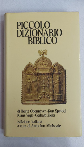 Libro piccolo dizionario - libro,