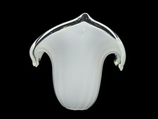 Ricambio  lampadario Tulip