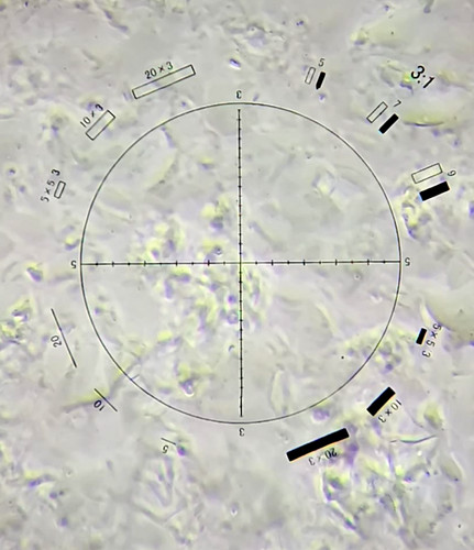 Microscopio professionale - , a