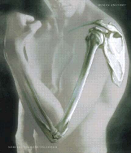 Human anatomy d - human, by