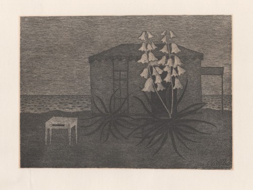 Giuseppe viviani notturno - giuseppe,