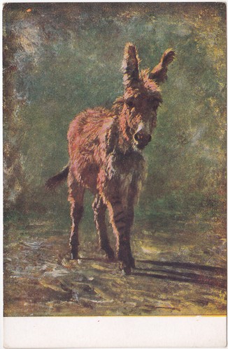 Illustratore artist signed - artist,