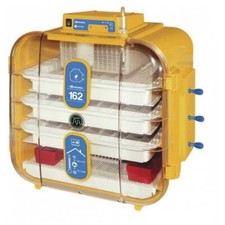 Incubatrice Uova Novital 162