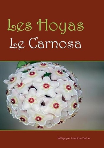 Les hoyas carnosas by - hoyas:,