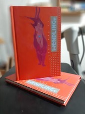 Artbook Claire Wendling - Iguana Bay 2.0 - Le Cycliste 2003 - RARO