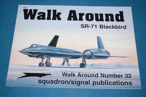 Blackbird walk around - blackbird,