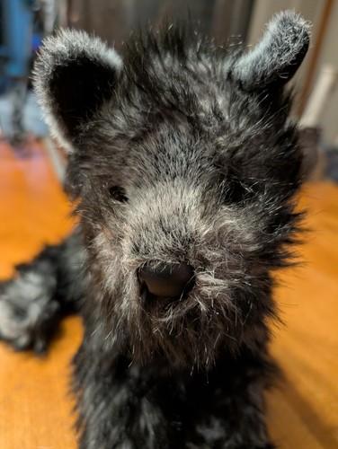 Peluche cane douglas - peluche,