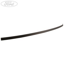 Modanatura originale Ford