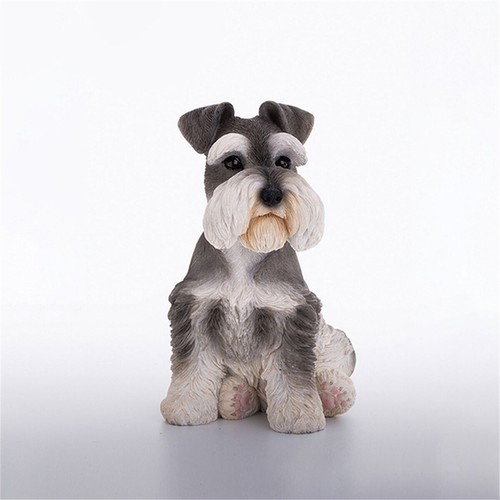 Jxk simpatico schnauzer - simpatico,