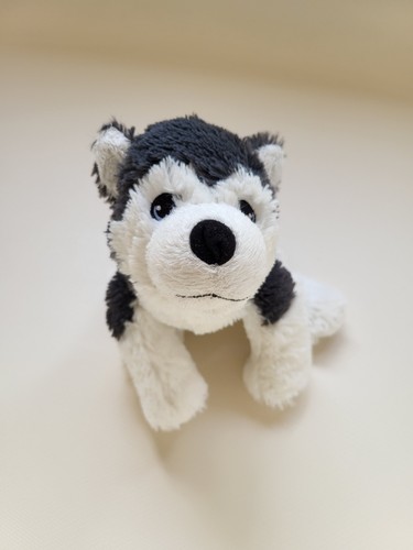 Peluche cucciolo husky - ,