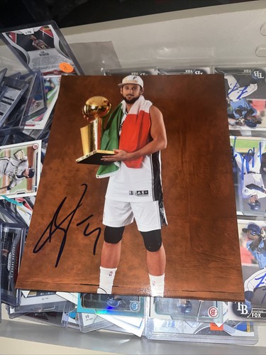 Marco belinelli firmata san - firmata,