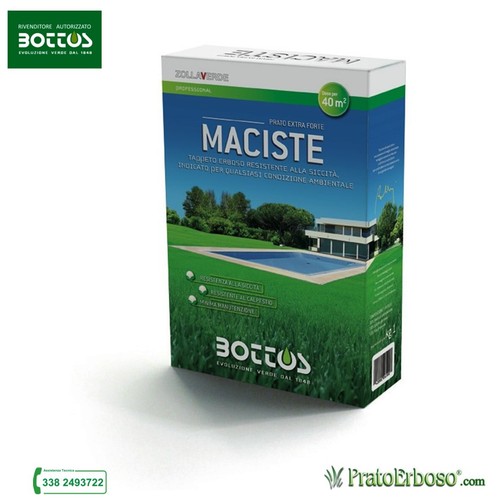Bottos maciste sementi per - maciste,
