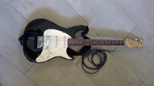 Chitarra elettrica peavy