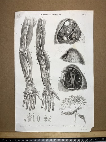 Illustrazione antica 1834