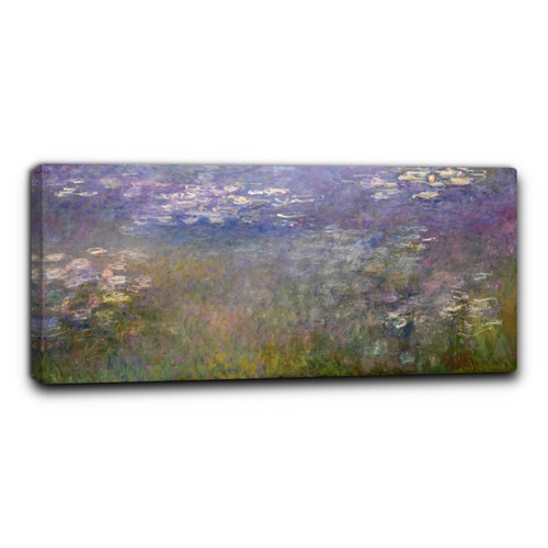 Niik quadro ninfee - quadro,