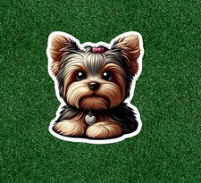 Cute Yorkshire Terrier yorkie
