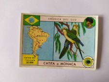 FIGURINA ZOO L'AMICO DEGLI