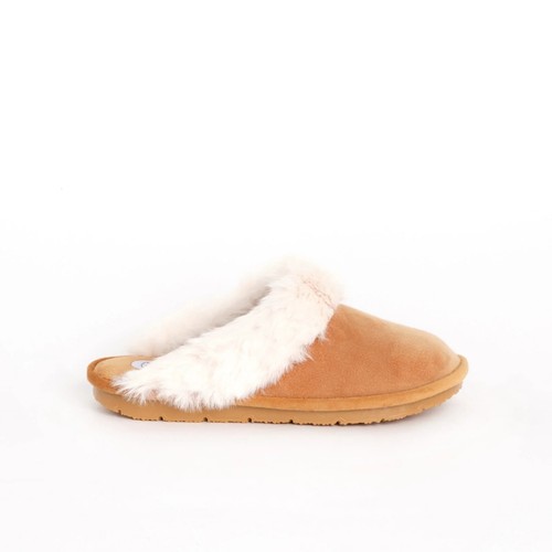 Scholl brienne memory - dr,