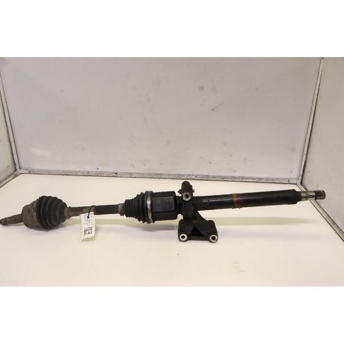 Semialbero ant compl dx - semialbero, compl.