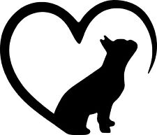 adesivo sticker vetri auto