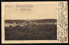 Cartolina Brioni, veduta del