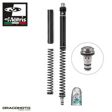 Kit forcella TRIUMPH Speed