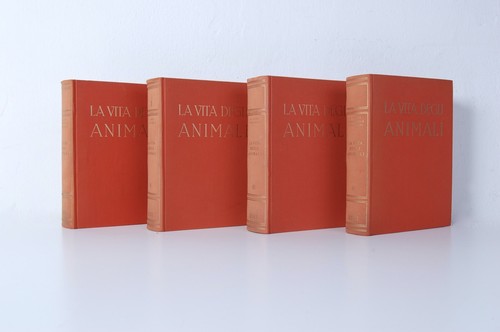 Enciclopedia completa vita - enciclopedia, la