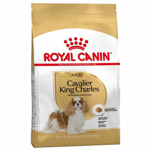 Royal canin dog cavalier - dog, king