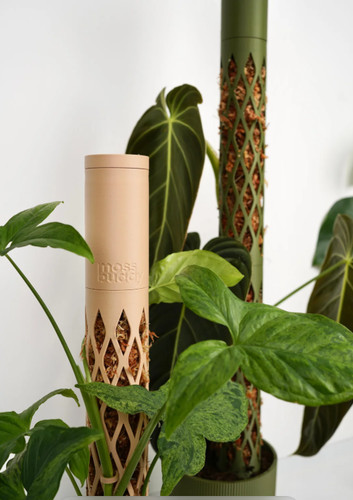 Palo mose vaso - e, pole