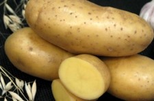 Patate, imperatrice di patate