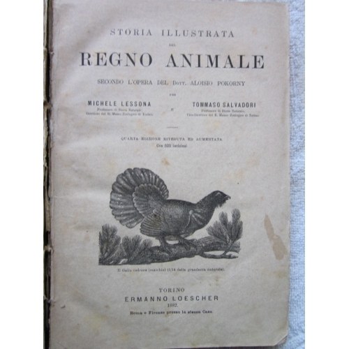 Lessona salvadori storia - lessona,,