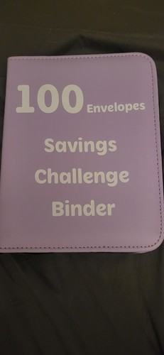 Purple 100 envelopes - 100,