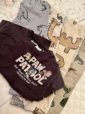 Lotto di 4 pantaloni Zara e 1