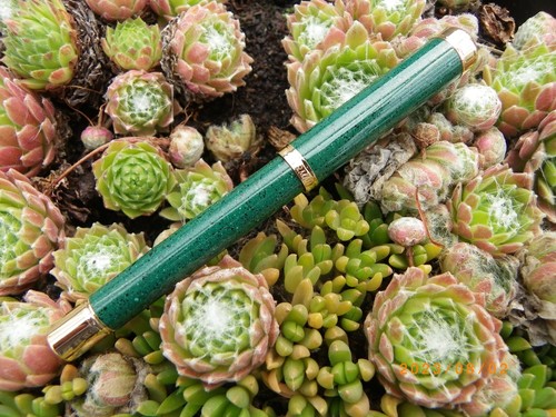Superbe stylo roller waterman - _superbe,