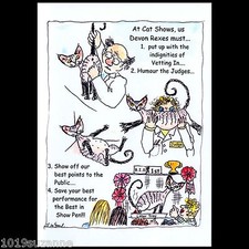 LARGE COMICAL DEVON REX BEST