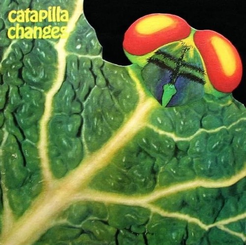 Changes catapilla shm - changes, [shm-cd]