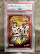 2024 Phoenix Treasured Tandems