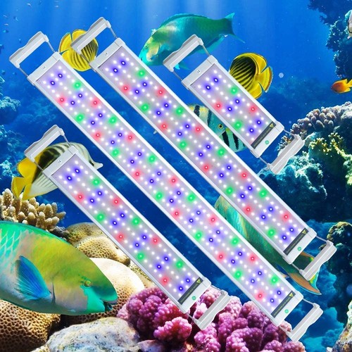 Illuminazione acquario led - acquario,